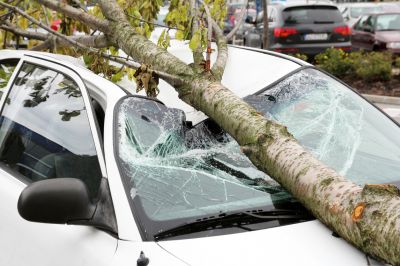 Get Protection Against Weather Related Damage with Comprehensive Car Insurance!