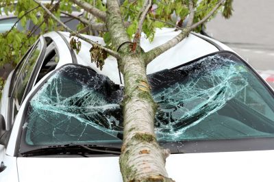 Get Protection for Your Vehicle Against Non-Collision Related Damage!